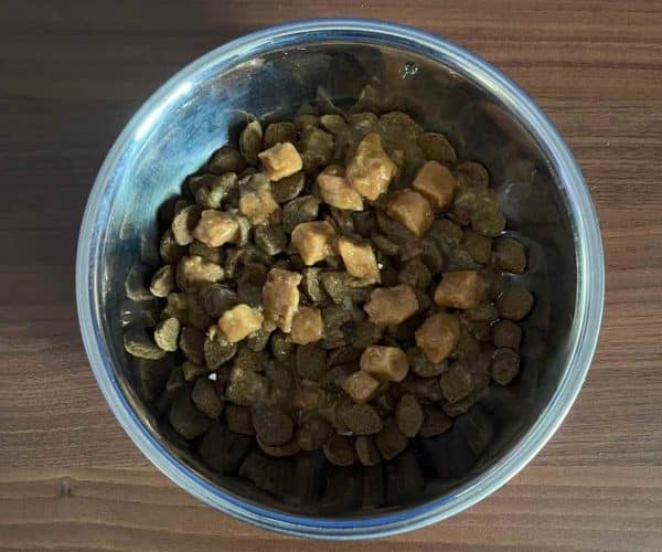 soften dry dog food for senior dogs with wet food